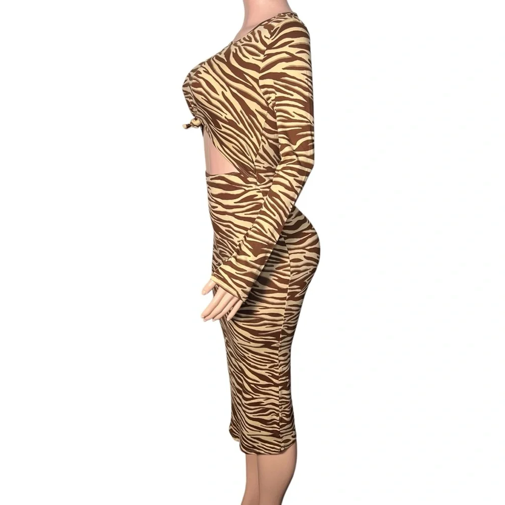 Brown Zebra Print Maxi Dress - Picture 3 of 5